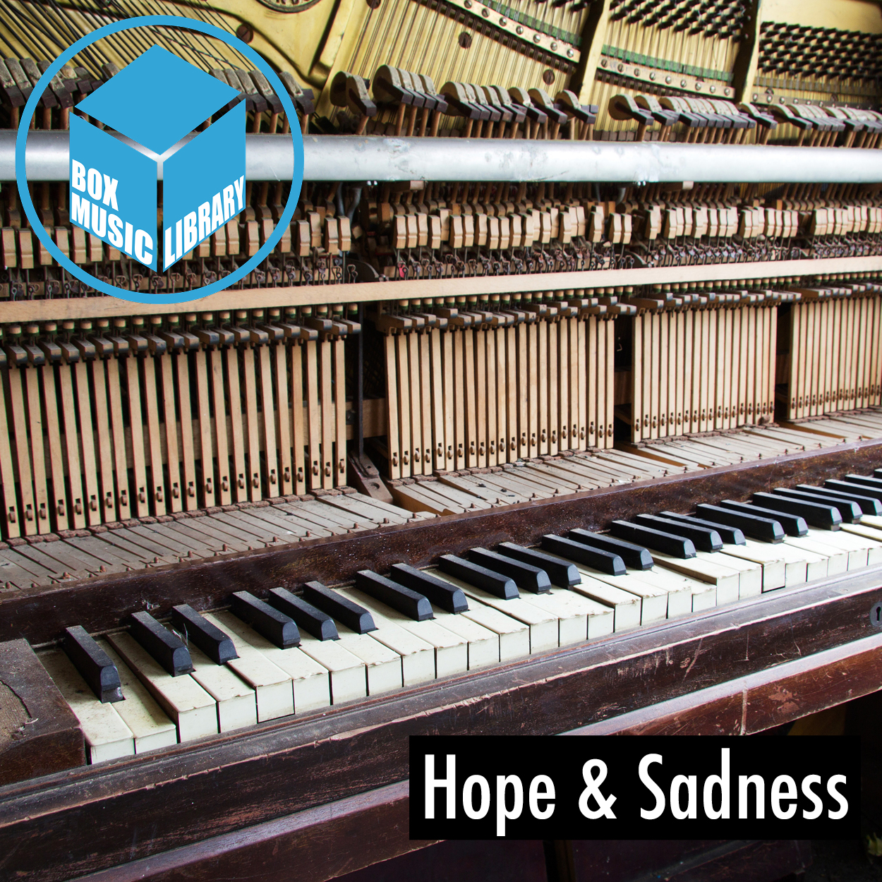 Infinite Sadness (Unplugged-Version)